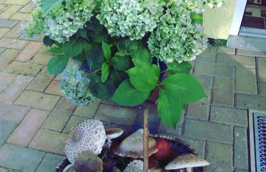 -Waldhaus-Fewo 4 - Foto 11