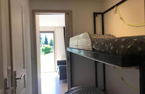 La marmotte: Vue Mont Blanc, terrasse, parking - Foto 12