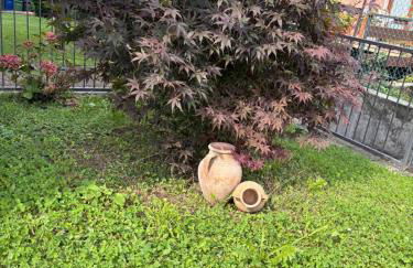 Casette Airport AGATA - Photo 21