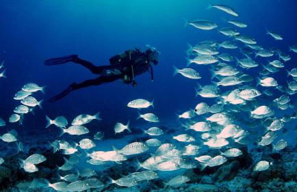 Villa Mediterránea - Foto 36