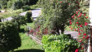 Mansarda in montagna - Foto 5, Garden