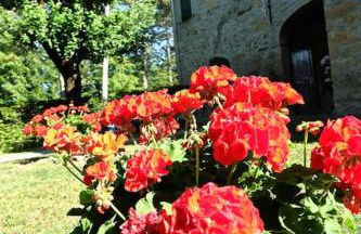 B&B Cortebonomini apartment - Photo 18