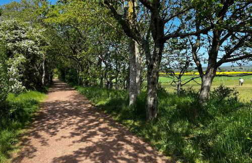 ISLAY House,Comfortable Home with private garden, Pencaitland, East Lothian, Scotland - Foto 31