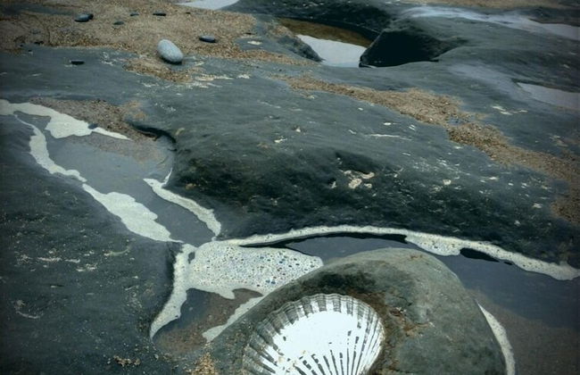 Admiral's Beach Retreat - Foto 45