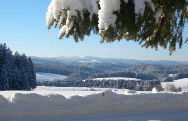 Lush Apartment in Furtwangen near Black Forest with Balcony - Foto 33