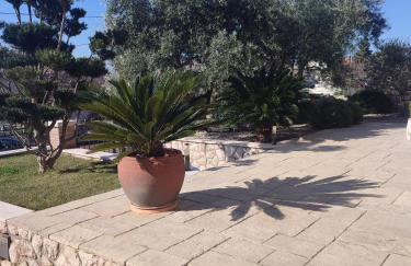 Biuk Apartments - Photo 31