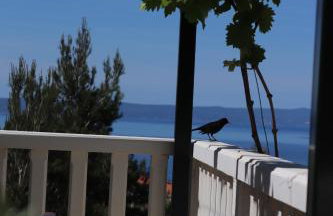 Apartments Glavaš - Foto 12