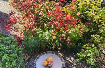 Casetta Camilla - Foto 12