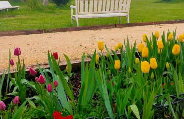 La Maison des oliviers - Foto 37