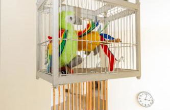 Sea View, Thorpeness - Foto 22