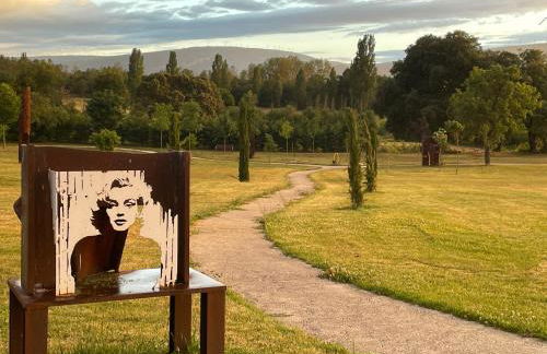 casa rural de un artista en plena naturaleza piscina y parque de esculturas en villarcayo - Photo 26