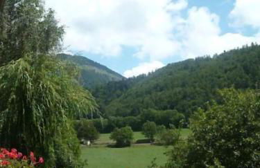 Maison charmante à Saint-Léger-les-Mélèzes avec jardin clôturé - Foto 16