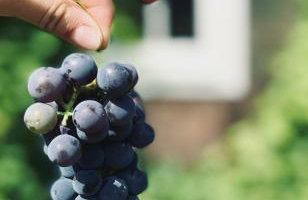 Bliska Wioska- Dom - Foto 10