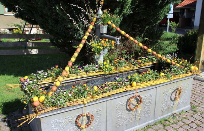 Hochgrat View in Steibis, Haus Akelei - Photo 30