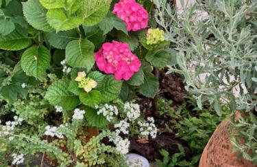 Aegean Sunset - Foto 14