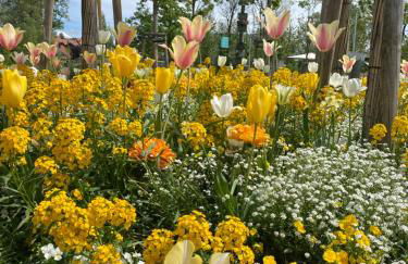 Schöne Wohnung in der Altstadt - Foto 50