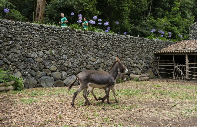 Quinta do Martelo - Photo 39
