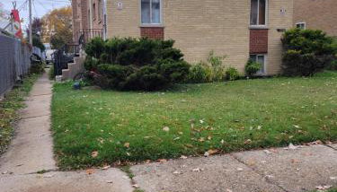 Garden Apartment Near Northwestern - Foto 5