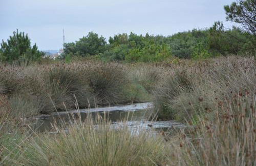 JP Ofir House - Photo 25