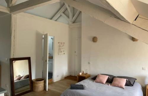 Grande chambre indépendante, charme, calme sur jardin, Nantes centre, accès privé par escalier de l'immeuble, sdb & wc privés, 10 minutes gare et palais des congrès - Foto 9