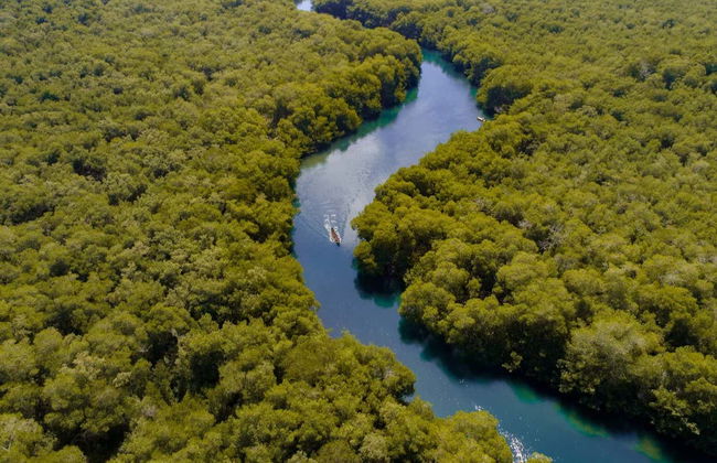 Paseo en barco por la ciénaga La Caimanera - Photo 2