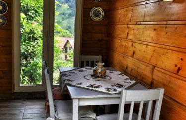 Willa Wierchy - Foto 4