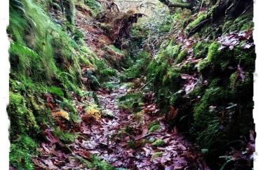 Casa Rural Lar de Sanxes - Foto 40