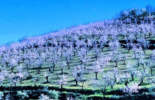 La Era de Alcántara - Foto 30