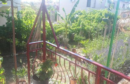 Levak Apartments - Apt.3 - Photo 24