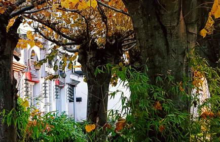 zentral club apartamento protón-jacuzzi - Foto 38