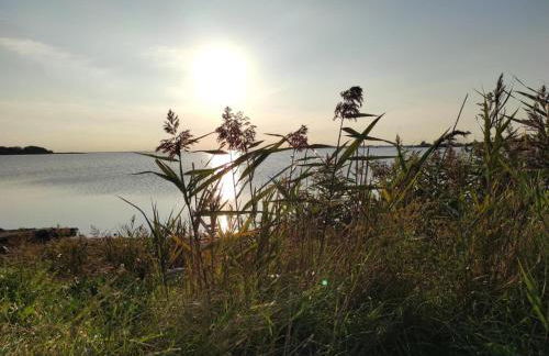 Haus am Merr auf Fehmarn OT Westerbergen - Foto 55