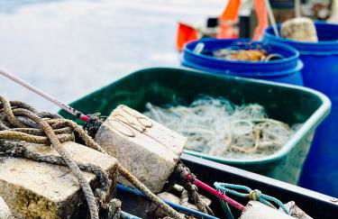 Ferienresidenz am Salzhaff - Foto 12