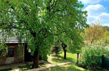 Stodoła HOME&CHILL - Foto 13