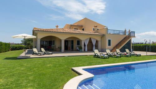 Mussol - Foto 2, Other