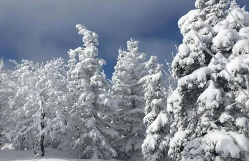 Ferienwohnung Sonnenhof - Foto 30