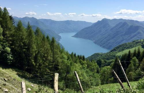 Lake View Apartments - Foto 46