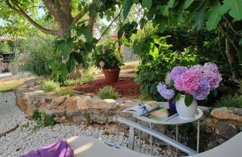 Stonehouse Ana with Jacuzzi Rovinj-Krmed - Foto 33