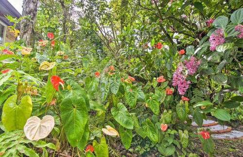 Idyllic Pahoa Paradise Hike, Swim and Explore! - Photo 20