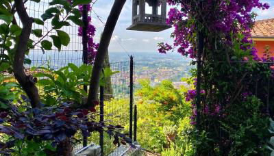 La Magione dei Todaro - Foto 3, Garden