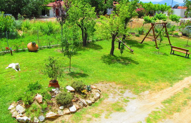 Pandora Studios - Foto 16