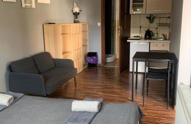 Domki całoroczne - u Ptaka - Miłków - Foto 10