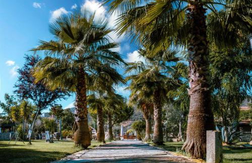 Hotel Rural Finca La Herencia - Foto 1