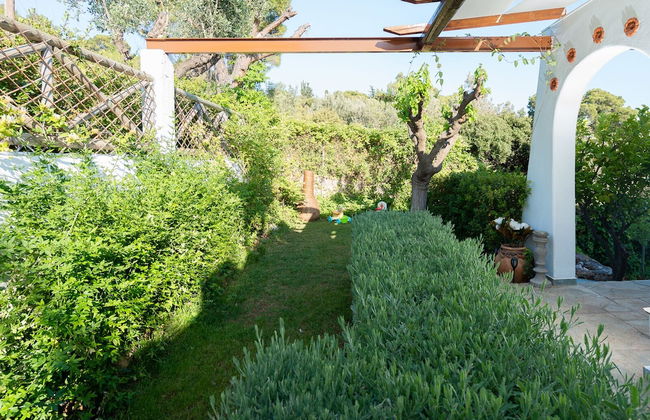 MTC-Villa Beis - Foto 37