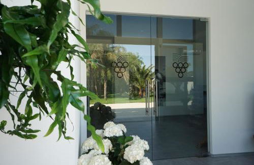 Terra di Negroamaro - Foto 4