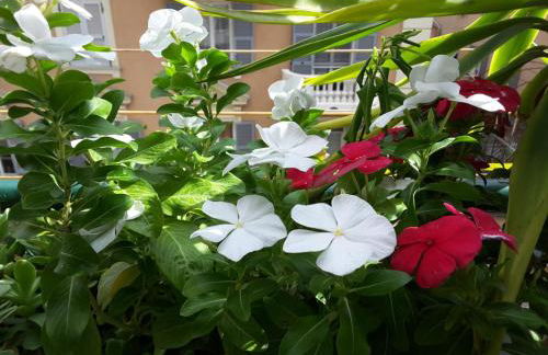 Diamond Apartment - Foto 2