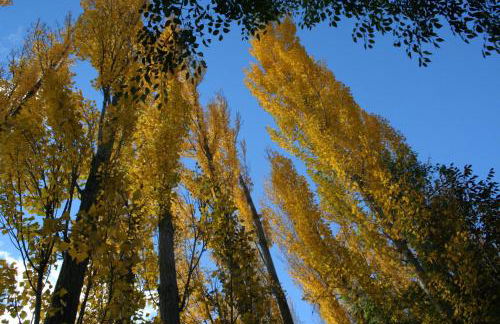 Casas Rurales Los Enebros Nerpio - Foto 50