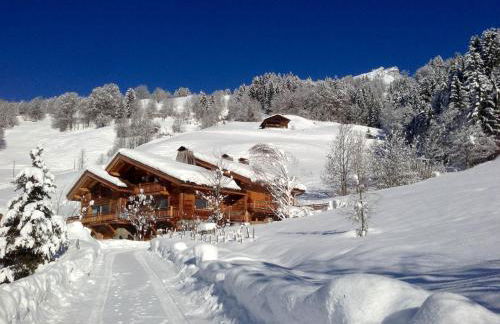 Chalet La Vigogne et Spa - Photo 28