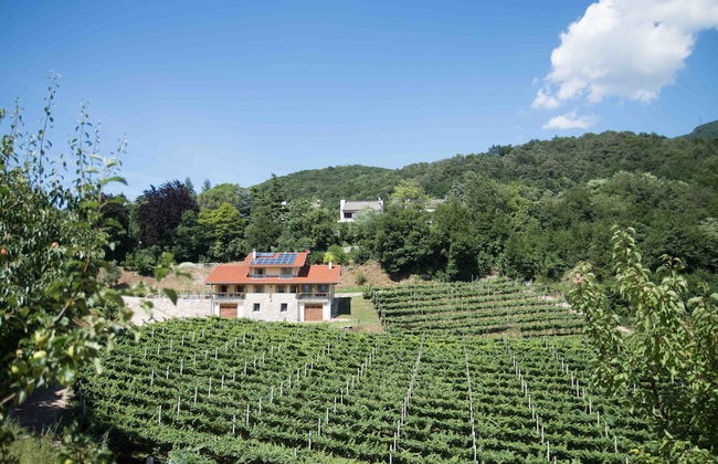 Agritur Casteller - Foto 41