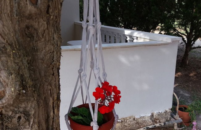 Rossa Studios - Foto 8