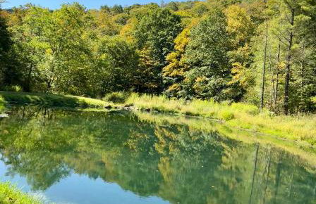 Seven Springs Hideaway Ski In and Out Pet Friendly - Foto 18